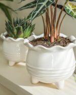 Fayoula Ceramic Planter, 2 Piece Ceramic Planter Set with Drainage Hole for Home... - Image 10