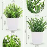 Der Rose 2 Pack Fake Plants Mini Artificial Greenery Potted Plants for Home Deco... - Image 3