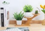 Der Rose 2 Pack Fake Plants Mini Artificial Greenery Potted Plants for Home Deco... - Image 4
