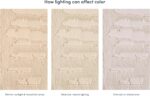 Revival Rugs Shell 5'x8' Area Rugs for Living Room Bedroom Dining Room - Washabl... - Image 6