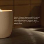Aesop Ptolemy Aromatique Candle | Resinous, Earthy, Woody Scented | 55-65 Hour B... - Image 5