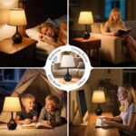 Seealle 16.1" Touch Table Lamps for Nightstand, 3-Way Dimmable Small Bedroom Lam... - Image 7