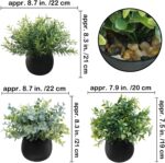 Winlyn Set of 3 Small Potted Faux Plants 8" Artificial Eucalyptus Rosemary Boxwo... - Image 3