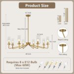 40" Brushed Gold Chandelier with Glass Shades, 8-Light Large Farmhouse Pendant L... - Image 6
