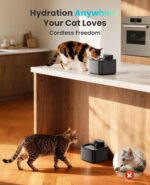 oneisall Wireless Cat Water Fountain: 74oz/2.2L Cordless Pet Water Fountains, 40... - Image 3