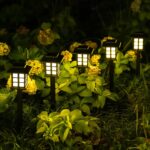 SOLPEX Solar Outdoor Lights,12 Pack Solar Path Lights, Walkway Lights Outdoor, G... - Image 5