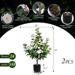 Hananona 2 Pcs Artificial Camellia Trees Faux Camellia Plant in Pot with Flowers... - Image 4