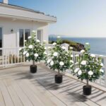 Hananona 2 Pcs Artificial Camellia Trees Faux Camellia Plant in Pot with Flowers... - Image 5