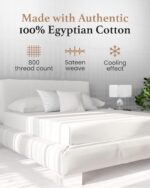Good Sleep Bedding 800 TC Queen Fitted Sheet Only, Soft & Breathable Fitted Bed ... - Image 3