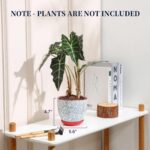 Selamica Ceramic Plant Pots, 5.6 Inch Flower Pots for Indoor Plants, Planters wi... - Image 3