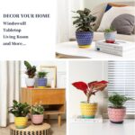 Selamica Ceramic Plant Pots, 5.6 Inch Flower Pots for Indoor Plants, Planters wi... - Image 5