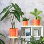 Gepege Peach Indoor Plant Pots for Plants, Large Ceramic Planter with Drainage H... - Image 6
