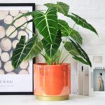 Gepege Peach Indoor Plant Pots for Plants, Large Ceramic Planter with Drainage H... - Image 7
