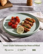 famiware Star Dinner Plates for 6, 10 inches Plate Set, Scratch Resistant, Stone... - Image 6