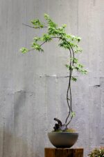 ONE ART Luxury Planters Hand-Finished Modern Design Durable Frost-Proof Indoor &... - Image 4