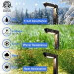 Energetic 5CCT Low Voltage Landscape Lights, 5W 200LM IP65 Waterproof LED Pathwa... - Image 4