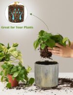 Small Ceramic Pot for Indoor Plants, 5.3 inch Plant Pot with Drainage Hole Decor... - Image 5