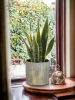 Small Ceramic Pot for Indoor Plants, 5.3 inch Plant Pot with Drainage Hole Decor... - Image 7
