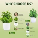 4 Pack Small Fake Plants Mini Artificial Plants Potted Desk Plant for Table Desk... - Image 4