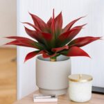 Ttranewsoo Artificial Agave Plants,Large UV Resistant Fake Agave Planters for In... - Image 5