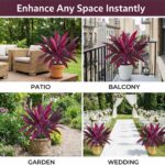 2PCS Large Realistic Artificial Boston Fern & Dragon's Blood Tree Plants with Vi... - Image 5