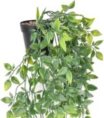 BLEUM CADE Fake Hanging Plants, 2pcs Artificial Hanging Potted Plant, Faux Manda... - Image 3