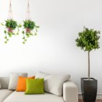 2 Pack Macrame Plant Hanger Indoor, Indoor Outdoor Hanging Planter Basket Decora... - Image 6