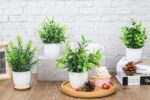 Der Rose Faux Plants Indoor, 4 Pack Small Fake Plants Mini Artificial Plants in ... - Image 5