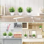 Der Rose Faux Plants Indoor, 4 Pack Small Fake Plants Mini Artificial Plants in ... - Image 7