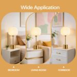 QiMH Glass Table Lamp for Living Room, Modern Bedside Lamp with Gream Ribbed Gla... - Image 7