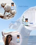 Clean Fragrance Oils Set, Premium Essential Oils for Diffuser, Candle & Soap Mak... - Image 4