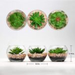 Briful Mini Fake Plants 3 Packs Artificial Succulents Plants in Round Glass Vase... - Image 3