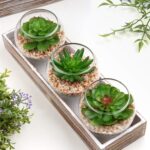 Briful Mini Fake Plants 3 Packs Artificial Succulents Plants in Round Glass Vase... - Image 5