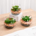 Briful Mini Fake Plants 3 Packs Artificial Succulents Plants in Round Glass Vase... - Image 6