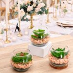 Briful Mini Fake Plants 3 Packs Artificial Succulents Plants in Round Glass Vase... - Image 7