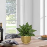Hollyone Artificial Snake Plants 9" Faux Agave Succulent Plant Potted in Gold Po... - Image 4