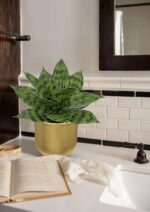 Hollyone Artificial Snake Plants 9" Faux Agave Succulent Plant Potted in Gold Po... - Image 5