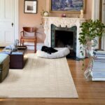 Revival Rugs Shell 11'x14' Area Rugs for Living Room Bedroom Dining Room - Washa... - Image 7