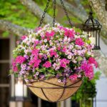 4 Pack 12 Inch Hanging Planters for Outdoor Plants Metal Watering Flower Baskets... - Image 3