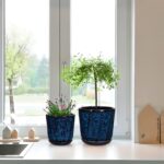 Oairse Ceramic Pots for Plants, 8+6 inch Plant Pots with Drainages Holes & Sauce... - Image 7