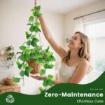 DomeStar 2PCS Fake Vines, Fake Pothos Hanging Plants Ivy Vines, Artificial Green... - Image 4