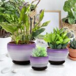 SOUJOY Set of 3 Ceramic Flower Pots, Gardening Plant Pot with Drainage Holes and... - Image 6