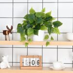 Waipfaru Faux Plants Indoor with Plastic Pots, Realistic Small Fake Plants, Fake... - Image 5