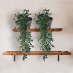 VENTO 2 Pack Fake Artificial Hanging Plants with Pots, Faux, Vines, Pathos, Gree... - Image 3