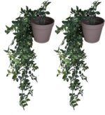 VENTO 2 Pack Fake Artificial Hanging Plants with Pots, Faux, Vines, Pathos, Gree... - Image 8