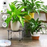Garden Gifts Plant Lovers Gifts 3 Packs Black Metal Plant Stand with Anti-Slip B... - Image 3