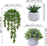 Winlyn 3 Pcs Assorted Small Potted Succulent Plants Artificial Aloe Hops String ... - Image 3