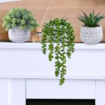 Winlyn 3 Pcs Assorted Small Potted Succulent Plants Artificial Aloe Hops String ... - Image 4