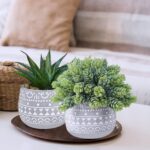 Winlyn 3 Pcs Assorted Small Potted Succulent Plants Artificial Aloe Hops String ... - Image 6