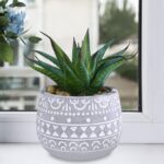 Winlyn 3 Pcs Assorted Small Potted Succulent Plants Artificial Aloe Hops String ... - Image 8